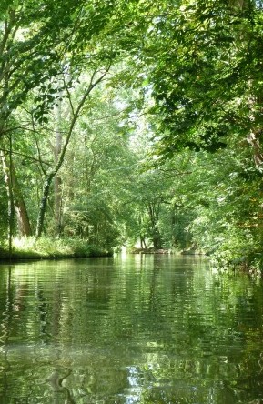 Groen Lintje Culemborg nominatie