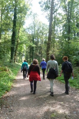 Groepsaanbod Eigenspoor wandelcoaching