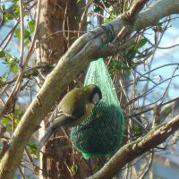 Stress in de natuur - Eigenspoor