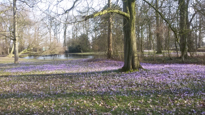 Lenteknoppen-mini-pelgrimstocht-Veluwe