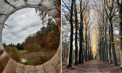 Marian Lubbers wandelcoaching