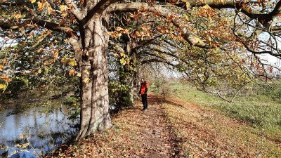 Wandelcoaching Marian Lubbers winter